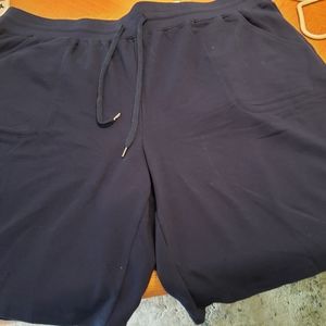 NWT Women's Navy Blue Bermuda Shorts Size 2X